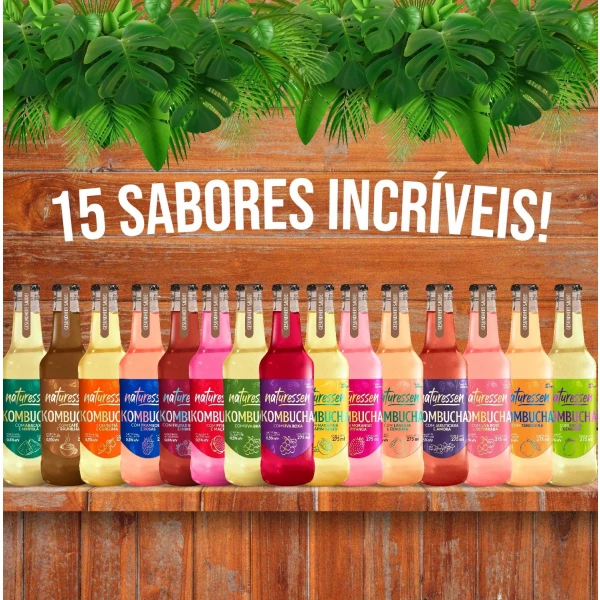 Kit 12 Kombuchas 275ml - Sabores Sortidos