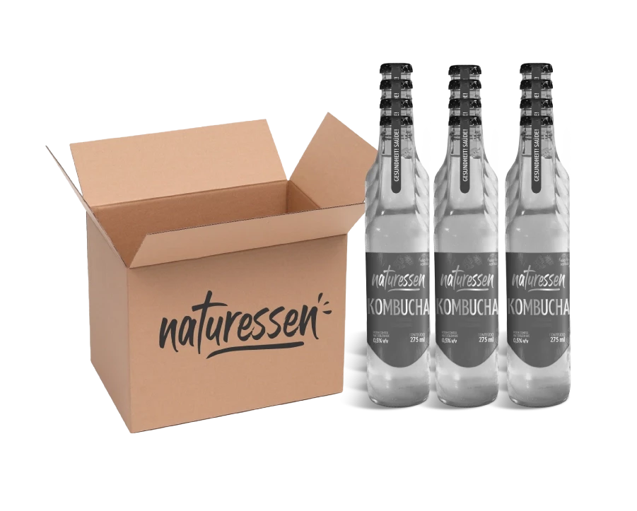 Kit 12 Kombuchas 275ml - Sabores Sortidos